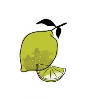 Paul & Pippa BIO Kekse - Limette