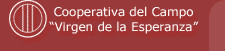 Virgen de la Esperanza Calasparra